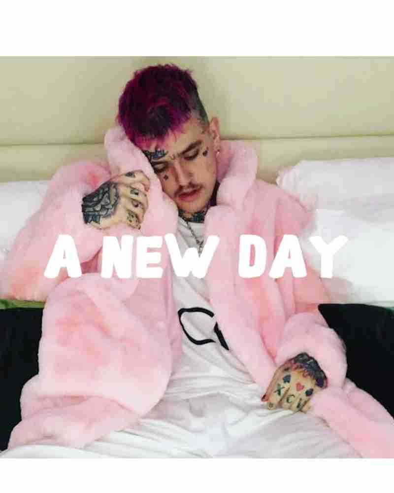 Lil Peep A New Day Pink Faux Fur Peak Lapel Coat